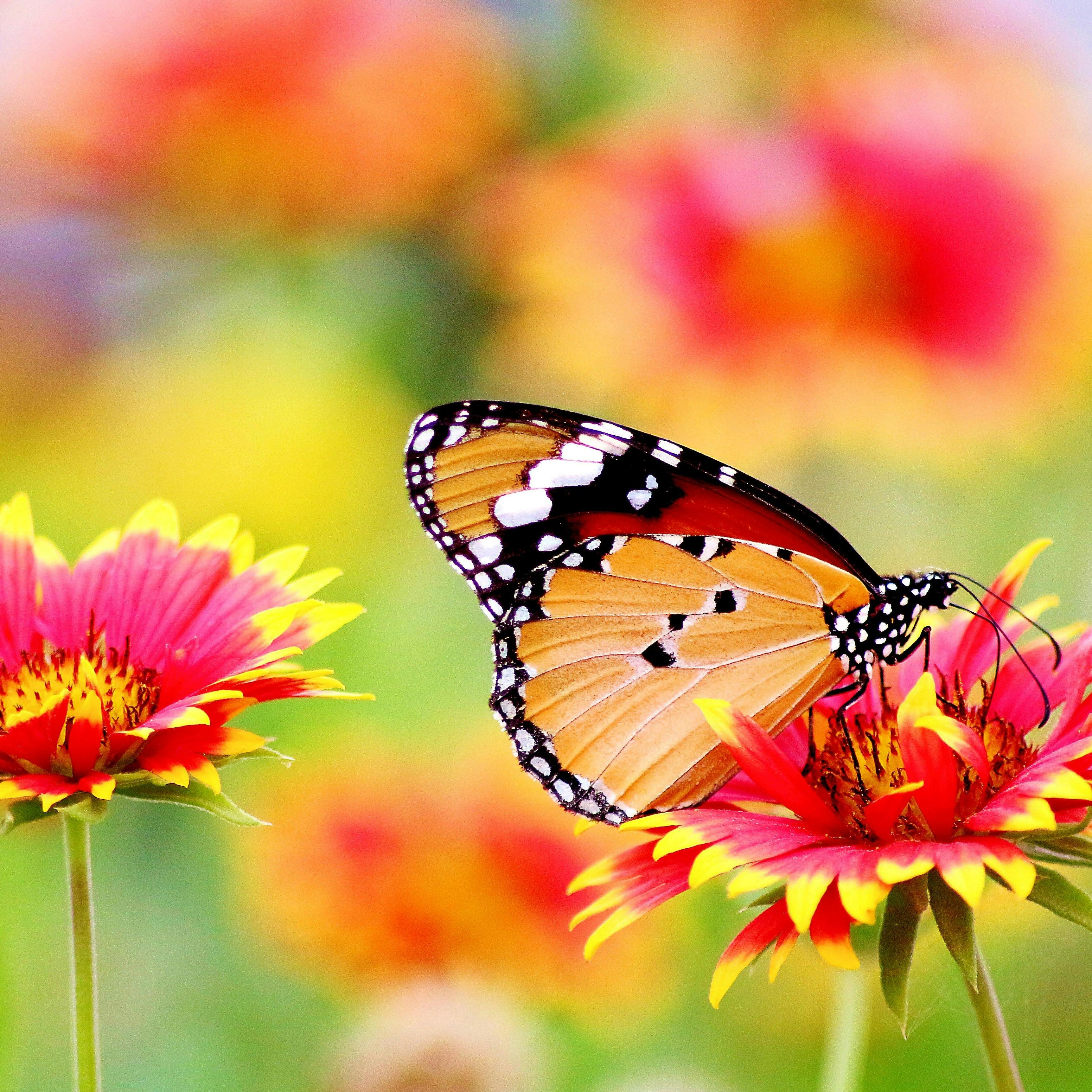 靜心新啟：給每個人的「心靈重塑」計畫