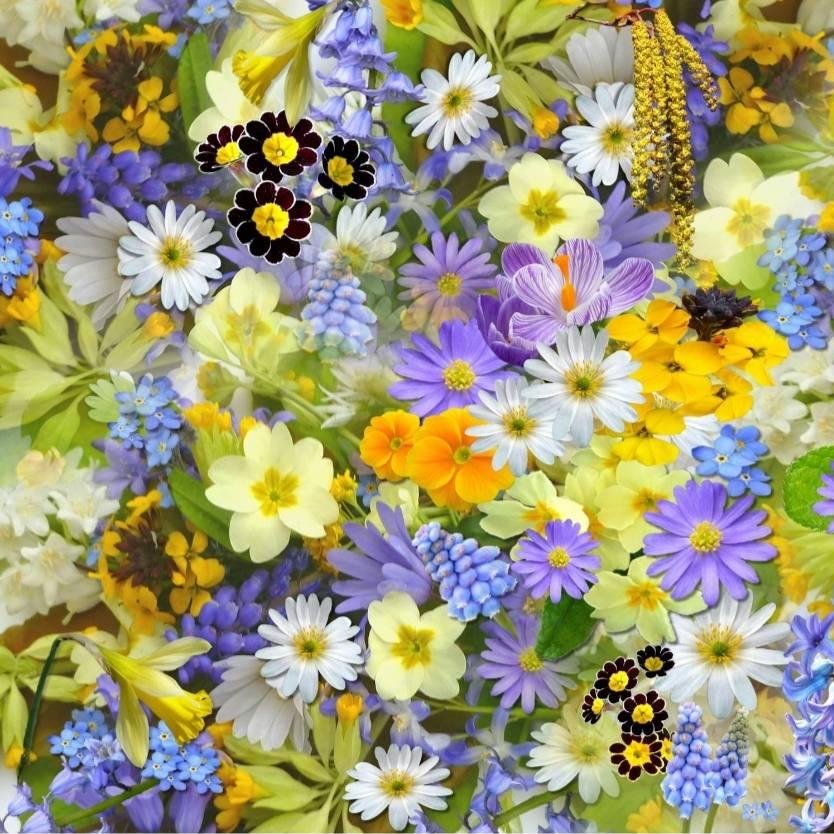 豐盛藍圖：斷開舊連結，開啟新道路